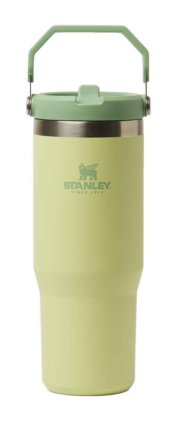 Stanley Iceflow Flip Straw