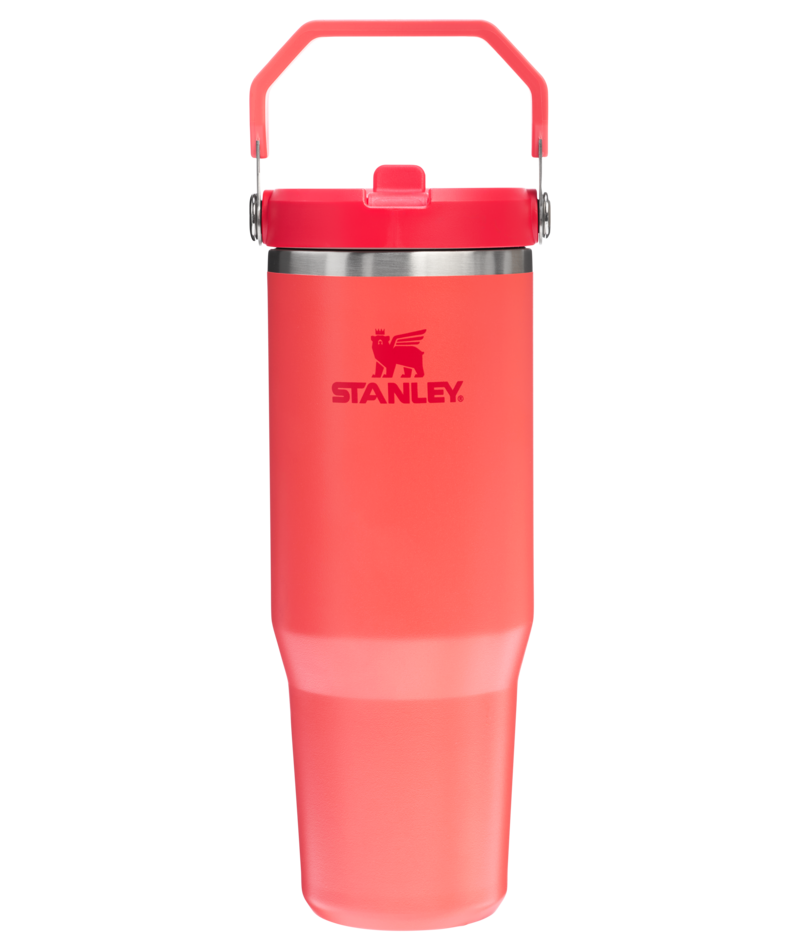 Stanley Iceflow Flip Straw