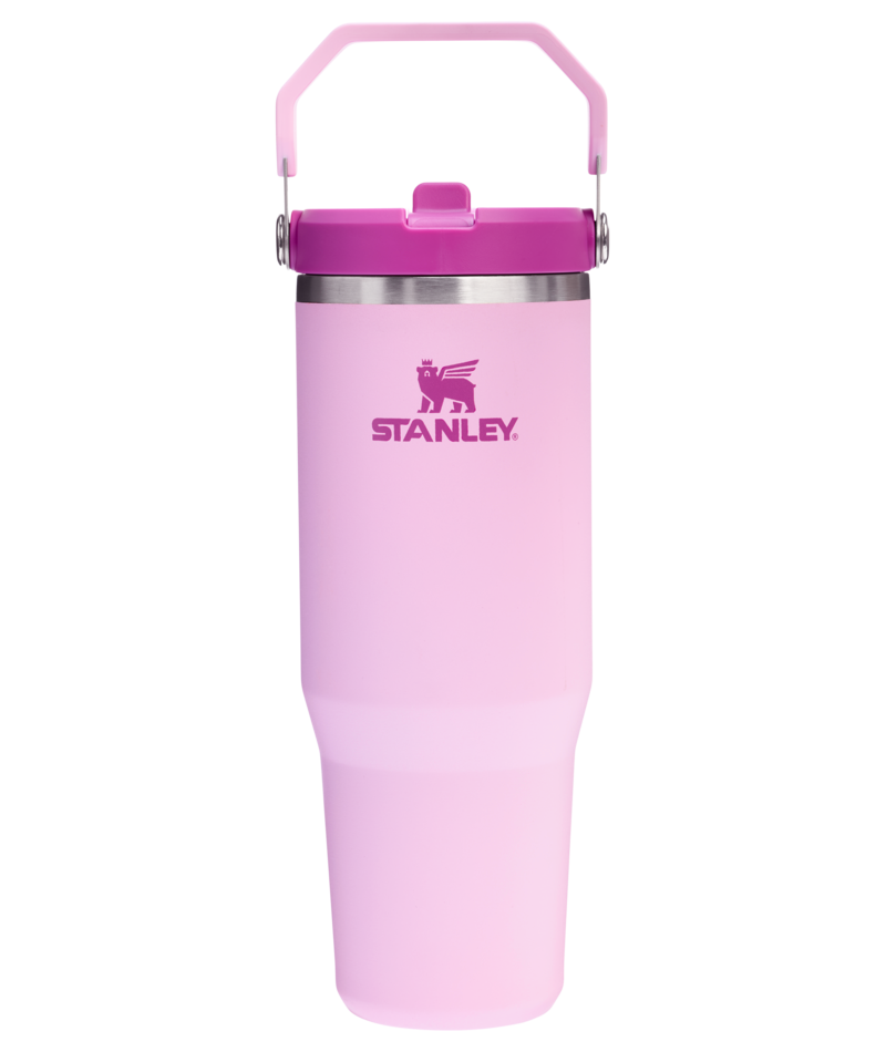 Stanley Iceflow Flip Straw