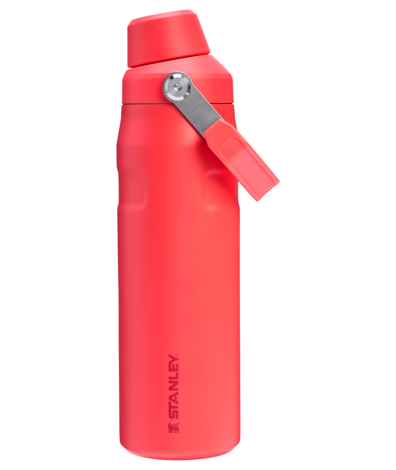 Stanley Aerolight Iceflow